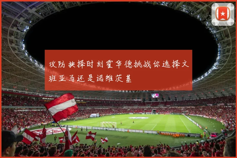 攻防抉择时刻霍华德挑战你选择文班亚马还是诺维茨基